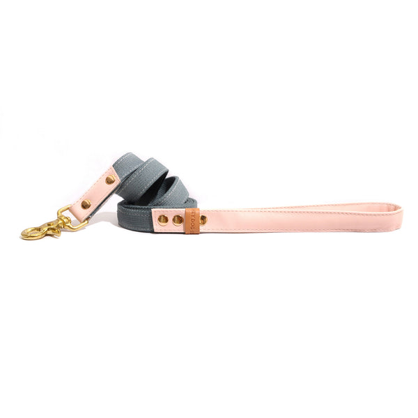 HEY DOG Co. | Pink Candy Leash