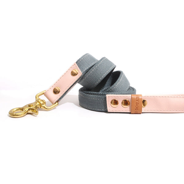 HEY DOG Co. | Pink Candy Leash