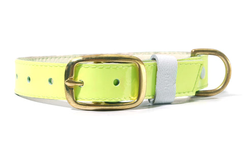 HEY DOG Co. NEW ARRIVAL | LIMEON Collar