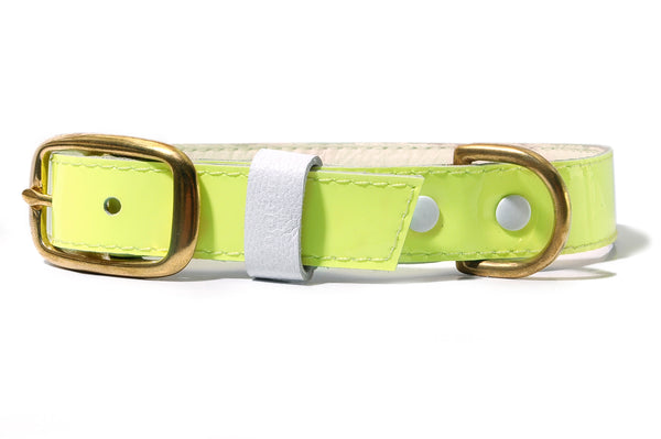 HEY DOG Co. NEW ARRIVAL | LIMEON Collar