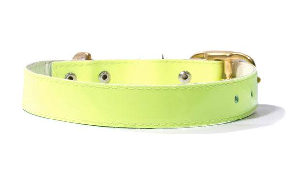 HEY DOG Co. NEW ARRIVAL | LIMEON Collar