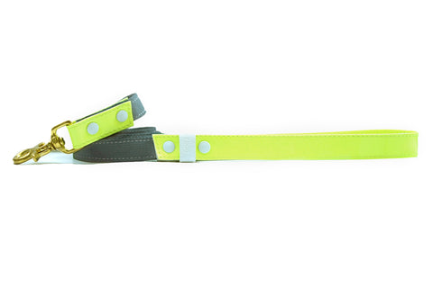 HEY DOG Co. NEW ARRIVAL | LIMEON Leash