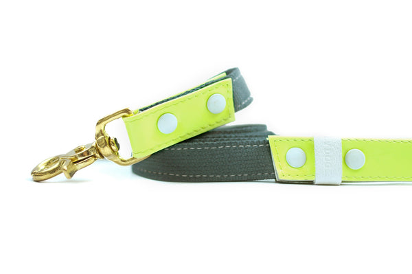 HEY DOG Co. NEW ARRIVAL | LIMEON Leash