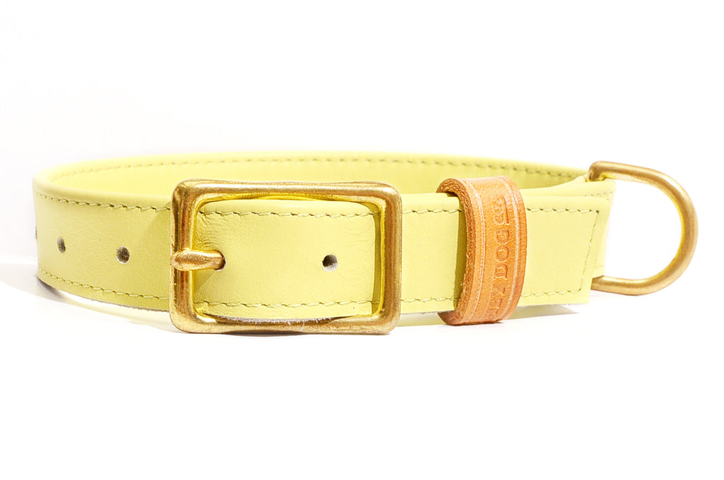 HEY DOG Co. | Canary Bon Bon Collar
