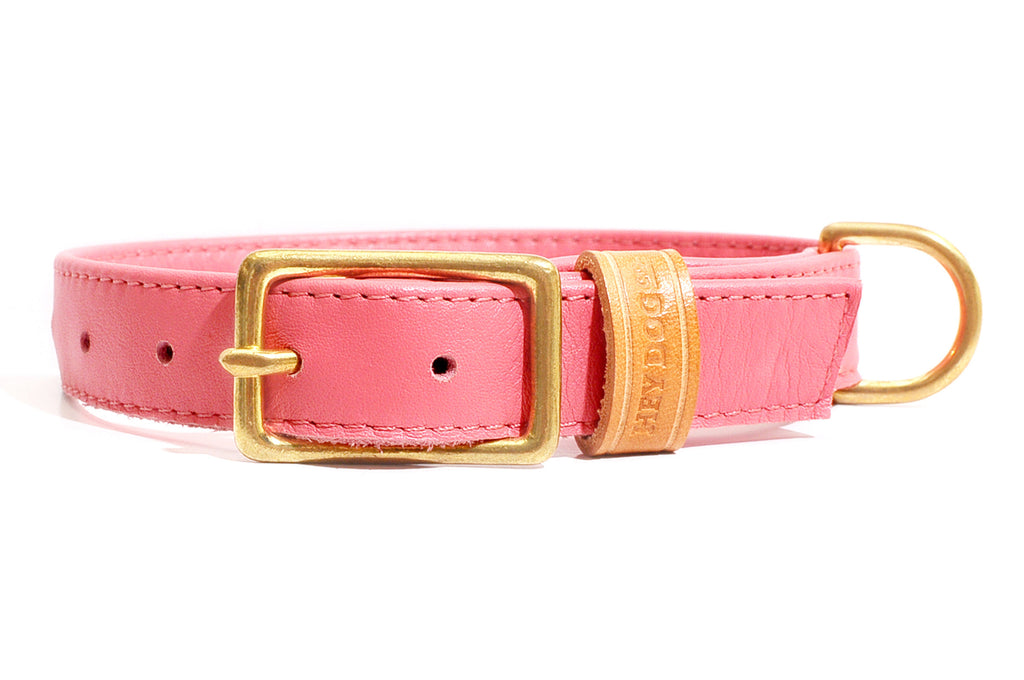 HEY DOG Co. | Coral Collar
