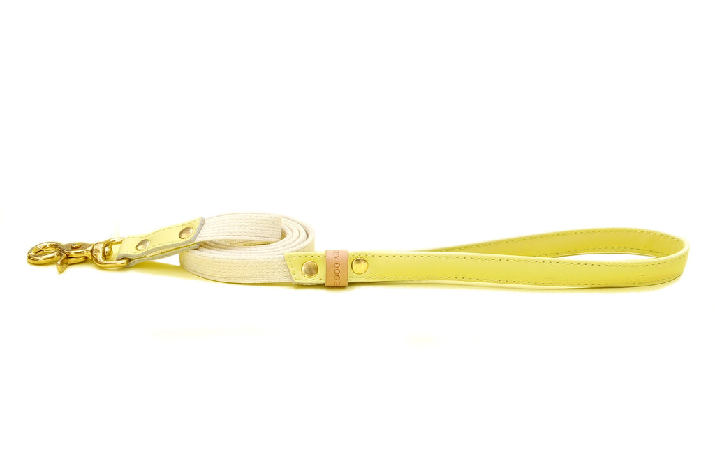 HEY DOG Co. | Canary Bon Bon Leash
