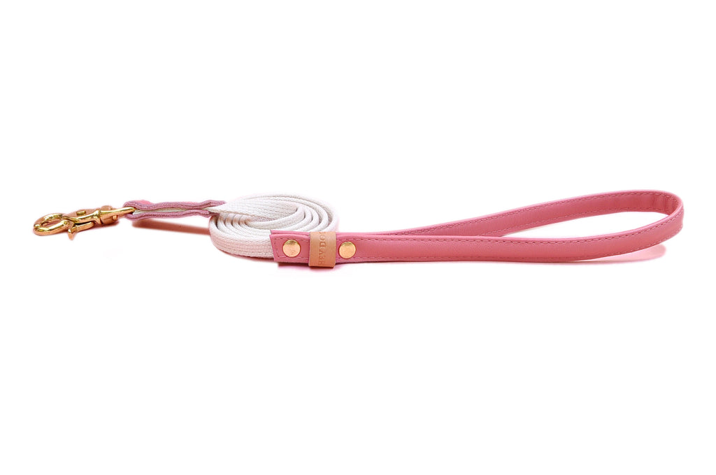 HEY DOG Co. | Coral Leash