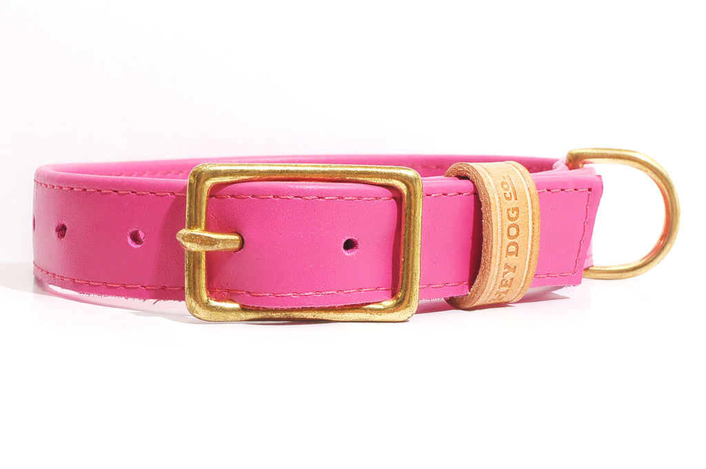 HEY DOG Co. | Pinky Dinky Collar