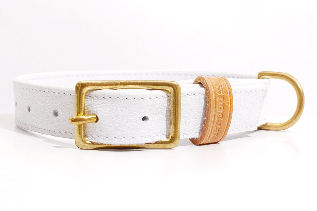 HEY DOG Co.| Pure White Collar