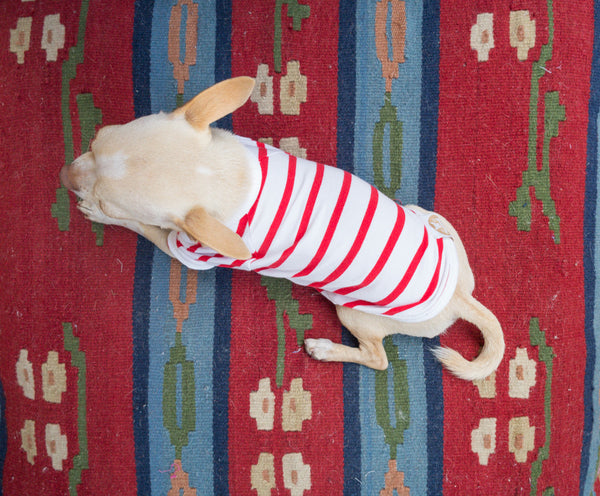Red and White Stripped T-Shirt