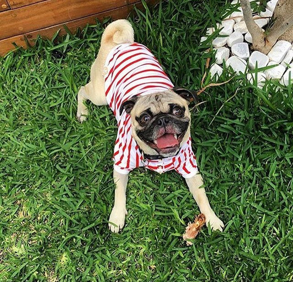 Red and White Stripped T-Shirt