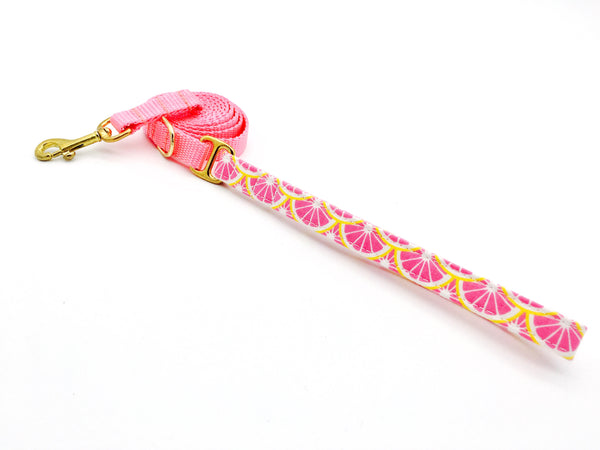 4 Black Paws | Pink Lemon Leash