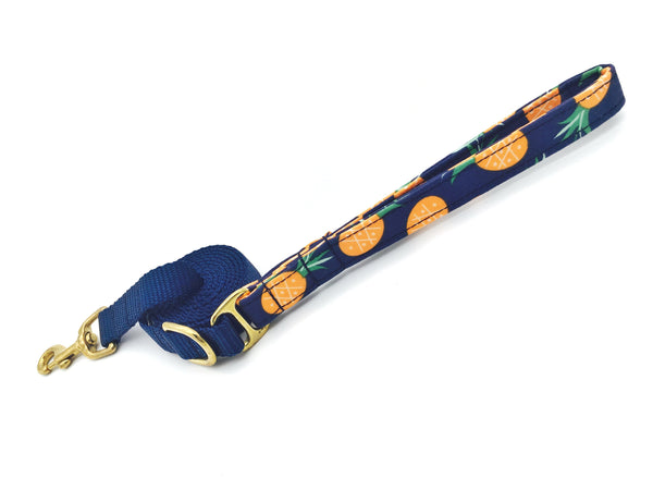 4 Black Paws | Blue Pineapple Leash
