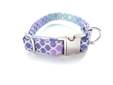 4 Black Paws | Mermaid Scale in Purple Collar