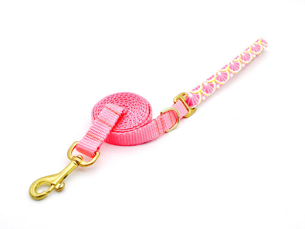 4 Black Paws | Pink Lemon Leash
