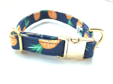 4 Black Paws | Blue Pineapple Collar