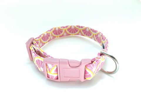 4 Black Paws | Pink Lemon Collar