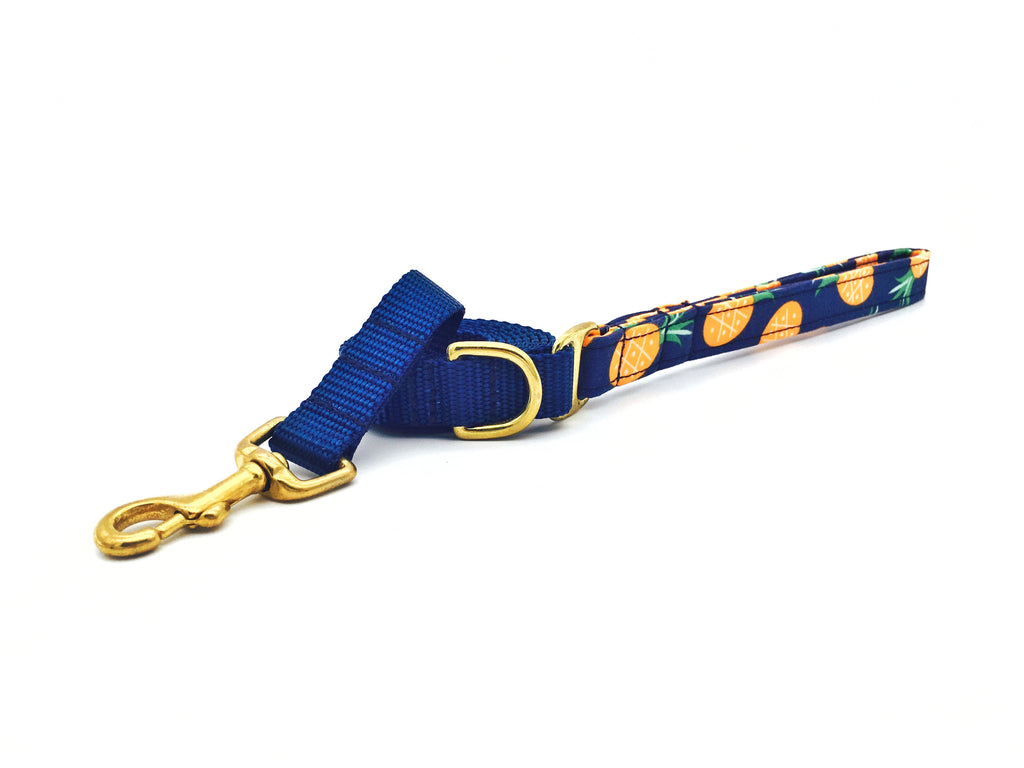 4 Black Paws | Blue Pineapple Leash