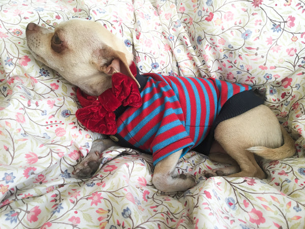 Red and Blue Stripped T-Shirt