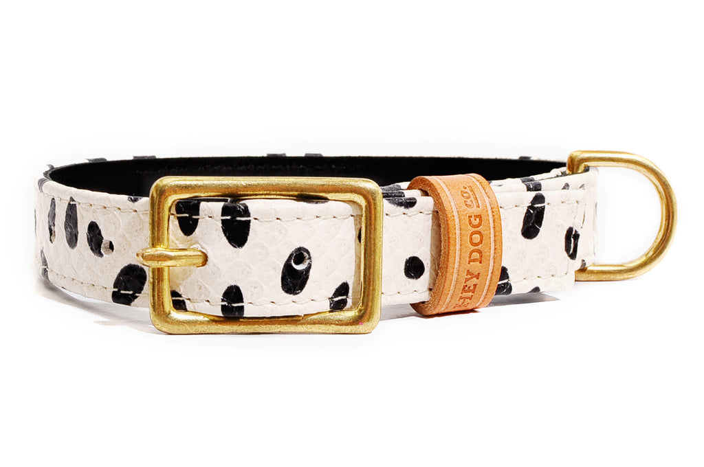 HEY DOG Co. | Dalmatians Collar