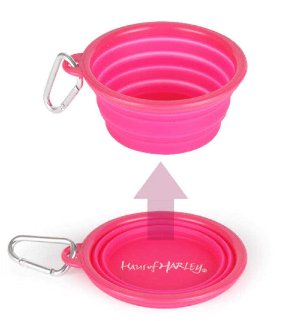 HAUS OF HARLEY Pink Pop up Silicone Travel Bowl