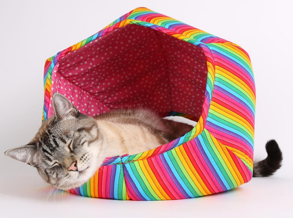 The Cat Ball | Rainbow Kitty Bed