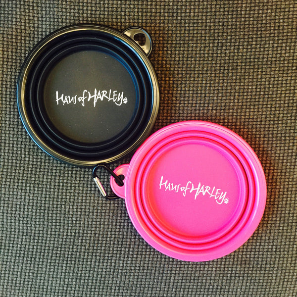 HAUS OF HARLEY | Pink Pop-up Silicone Travel Bowl